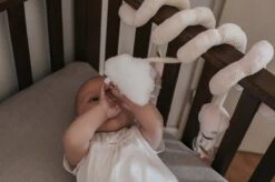 Tryco Zwaan Ivy Boxspiraal TR-243304 -Auto Zit Verkoop 1200x799 27