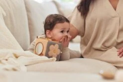 Jollein Activiteitenkubus - Spring Garden 27 Jollein Activiteitenkubus - Spring Garden -Auto Zit Verkoop 1200x800 112