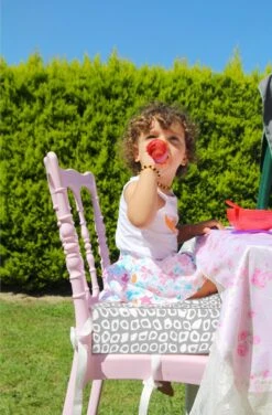 Babyjem Booster Chair Grey -Auto Zit Verkoop 789x1200